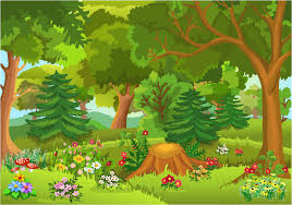 obrázek lesa