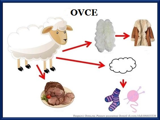 ovce